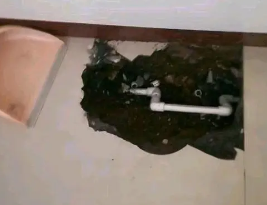 相城卫生间测漏水多少钱